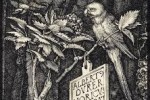 Plum leaves Duerer The Fall of Man